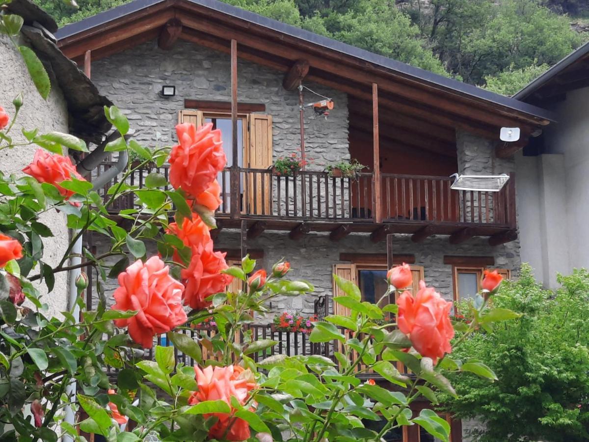 Agriturismo Al Pra Di Muriet Суса Екстериор снимка