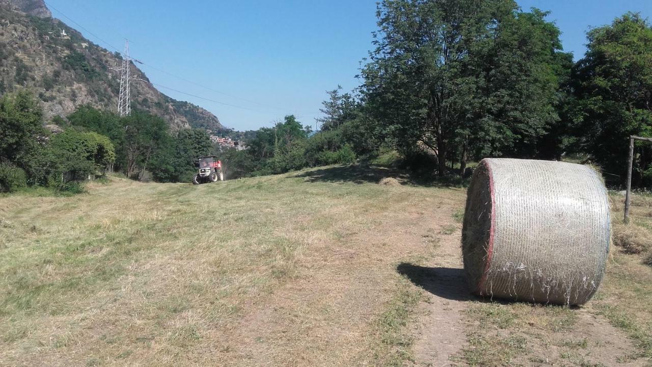 Agriturismo Al Pra Di Muriet Суса Екстериор снимка