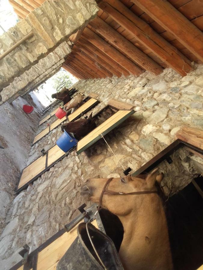 Agriturismo Al Pra Di Muriet Суса Екстериор снимка